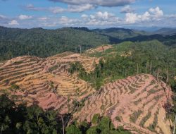 Usulan Revisi RTRW Kaltim Sarat Kepentingan Korporasi