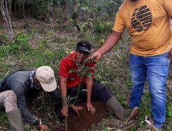 Kades Bangke Ajak Seluruh Warganya Bahu Membahu Bersihkan Makam Leluhur