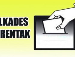 Pilkades Serentak di Lampung Utara, Ini Daftar Nama Kades Terpilih