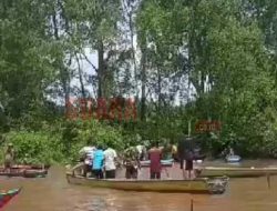 Pergi Mencari Kerang, Bocah asal Jungkat Disambar Buaya