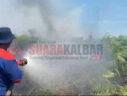 Terpantau 1.985 Titik Panas di Wilayah Kalbar