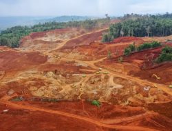 Tsingshan Mulai Operasikan Pabrik Nikel Berkapasitas 50.000 Ton di Morowali