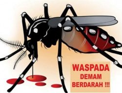 Waspada! Kasus DBD di Kayong Utara Meningkat, 136 Kasus 2 Meninggal