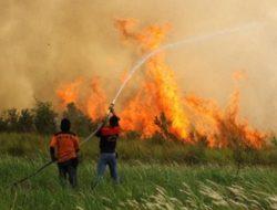 Brigade Pengendali Karhutla di Kalbar, Kapolda: Dibentuk dalam Upaya Mencegah Kebakaran