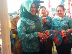 Meriahkan Hari Kemerdekaan, Kecamatan Jelai Hulu Gelar Expo