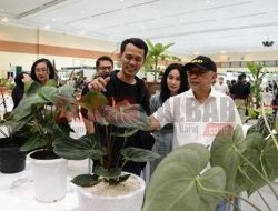 Produk Impor Dijual Harga Murah, Pelaku Usaha Lokal Keluhkan Biaya Tinggi