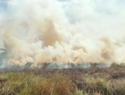 BPBD Kalbar Belum Terima Informasi Tersangka Pembakaran Hutan dan Lahan