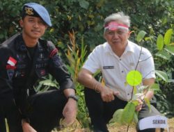 Aksi Bersama Pemkab Ketapang dan Kapolri, Menanam Pohon dalam Taman Bibit Serentak