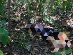 Sesosok Mayat di Sandai Ketapang Bikin Geger Warga, Begini Kata Polisi