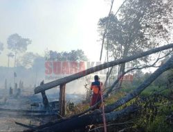 Ladang Warga di Desa Mungguk Sekadau Terbakar