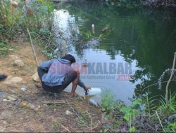 Bukit Mandi Punai Sumber Air Bersih Warga Durian Sebatang Kayong Utara