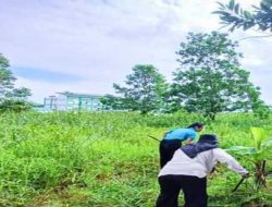 Penemuan 8 Jenis Paku-Pakuan di UNU Kalbar Buka Potensi Ekologi dan Pendidikan