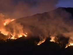Kebakaran Hutan dan Lahan: Dampak El Nino yang Berbiaya Mahal
