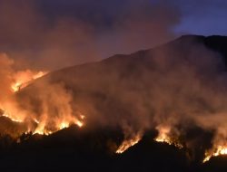 Kebakaran di Bromo Timbulkan Kerugian Rp89,7 Miliar Bagi Sektor Pariwisata