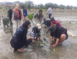 Menanam Bakau, Membangun Benteng Tsunami di Teluk Palu