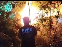 Tim BPBD Berhasil Padamkan Karhutla Di Perbatasan Desa Batu Gajah Dan Cemaga