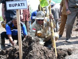 Poktan Cipta Usaha Terpadu Komitmen Dukung Program Pengembangan Pisang Kepok Pontia dan Kopi Liberika di Kayong Utara