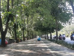 Pemkot Pontianak Berencana Sediakan WiFi Gratis di Ruang Publik