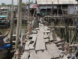 Jerat Bahaya Kontaminasi Logam Berat di Perairan Belawan