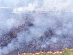 Indonesia Bantah Kabut Asap Akibat Kebakaran Hutan Sampai ke Malaysia