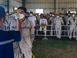 BRIN Soroti Jumlah Pekerja Asal China yang Tidak Sebanding dengan Investasi