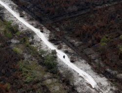 Menteri LHK: Kebakaran Lahan Capai 267 Ribu Hektare, Masih Bisa Bertambah