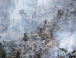 Malaysia Tuding Indonesia Sebagai Penyebab Kabut Asap dan Polusi Udara