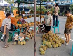 Buah Durian Melegenda di Pontianak, Pedagang Buka Hingga Larut Malam