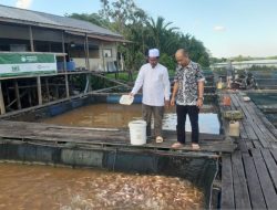 DKP Kalbar Dorong Produksi Pakan Ikan Mandiri
