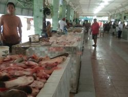 Pedagang Ikan di Singkawang Keluhkan Pembeli Menurun