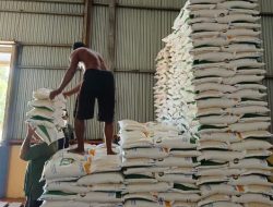 Stok Beras Bulog Putussibau Cukup untuk Tiga Bulan ke Depan