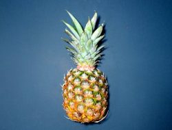 5 Manfaat Buah Nanas untuk Kesehatan, Kaya Akan Vitamin