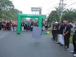 Meriahkan HUT IDI Cabang Asahan Ke- 73, Bupati Asahan Lepas Gerak Jalan Santai