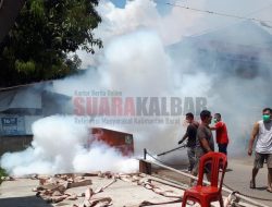 DBD di Sanggau Terus Meningkat, Warga Lakukan Fogging Secara Mandiri