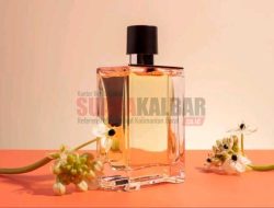 7 Rekomendasi Parfum Zara untuk Wanita dan Daftar Harganya