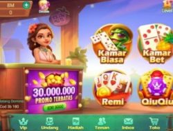 Polisi Tangkap Bandar Koin Higgs Domino di Kubu Raya