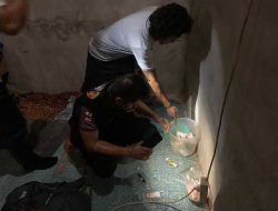 Diduga Pengedar Narkoba, Dua Warga Ditangkap Polisi di Sekayam