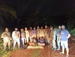 Satgas Pamtas RI-Malaysia Kembali Gagalkan Penyelundupan 15,5 Kg Sabu di Kapuas Hulu