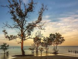Pantai Amal Tarakan: Pesona Pasir Coklat, Ombak Ramah, dan Liburan Tak Terlupakan di Kalimantan Utara