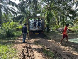 Satreskrim Polres Landak Gagalkan Penggelapan Pupuk Non Subsidi