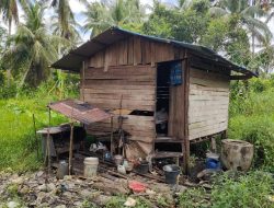 Kisah Amoy dan Ahmad, Rumah Tak Layak Huni di Desa Nusapati Mempawah Butuh Perhatian