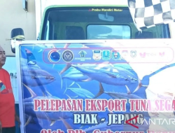 SKPT Ekspor 7 Ton Tuna Segar ke Jepang Awal 2024