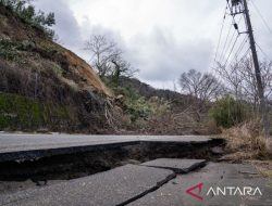 Gempa di Jepang Diyakini Disebabkan Oleh Sesar Terbalik
