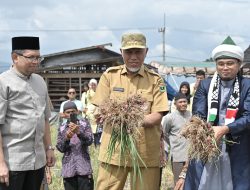 Panen Perdana Bawang Merah, Mahyeldi Apresiasi Inovasi Komunitas Moslem Loyalty Rabbani dalam Menjaga Keberlangsungan Dunia Pertanian di Sumbar