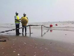 Kolaborasi Telstra International dan TPN Bangun Kabel Bawah Laut Asia Tenggara-AS