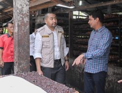 Pemprov Sumbar Siapkan Pergub Tata Niaga Gambir