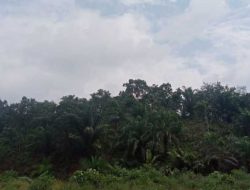 Kepala Desa Pegayo Diminta Tarik SKT yang Diduga Masih Bersengketa