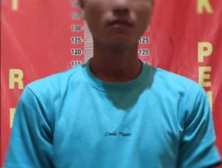 Warga Kecamatan Lais Curi Sawit “Diterkam Team Srigala”