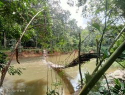 Jembatan Gantung di Sungai Sambang Ambruk, 1 Kendaraan Jatuh ke Sungai