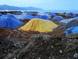 China dan Indonesia Harus Pangkas Produksi Nikel Jika Ingin Katrol Harga